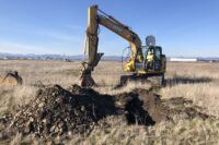 WEB-PreApp_Experience_RogueEnv